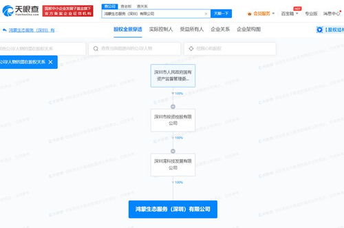 國資入局鴻蒙生態 深投控成立專業服務公司，強化數據處理與存儲能力